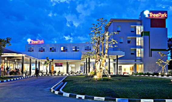 Treepark Hotel Banjarmasin, Oase Tropis Modern di Jantung Kota yang Memikat Wisatawan dan Pebisnis